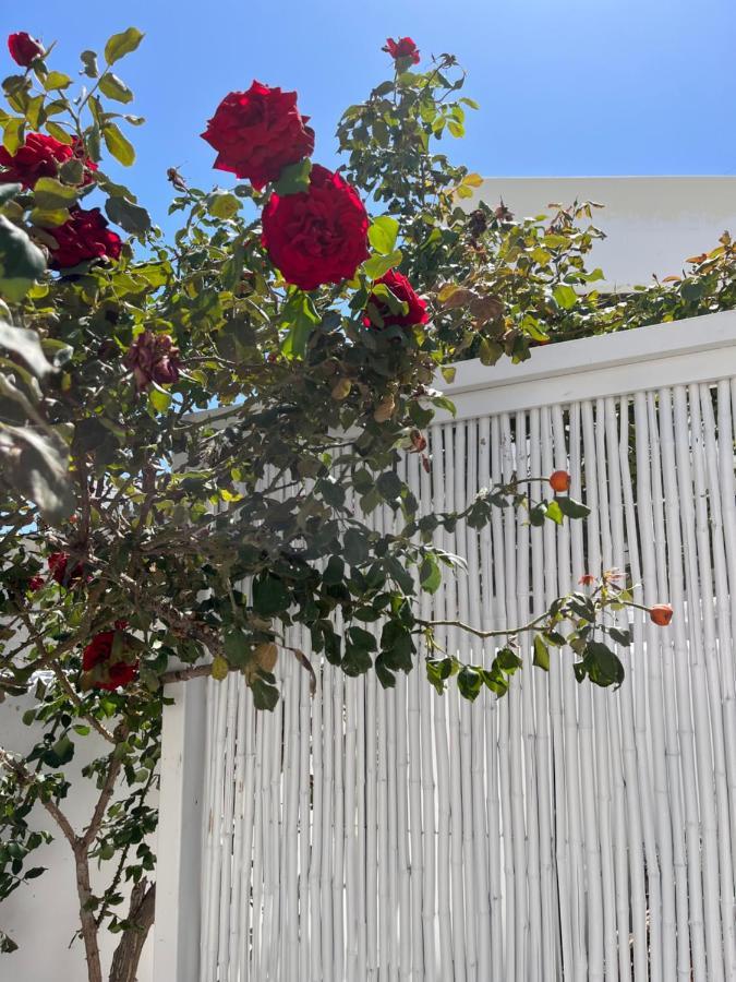 Aleria Central Apartments Naxos City Εξωτερικό φωτογραφία